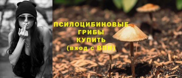 a pvp Пересвет