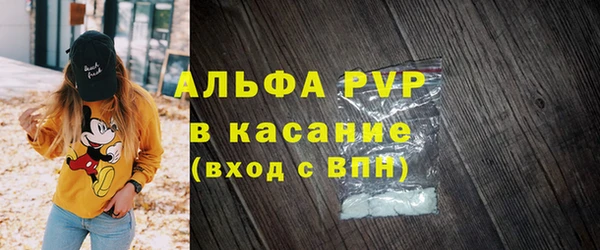 a pvp Пересвет