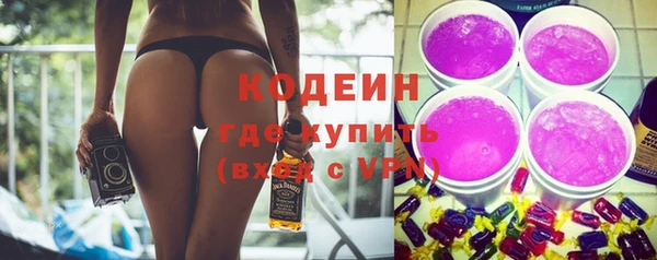 a pvp Пересвет