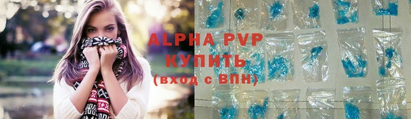 a pvp Пересвет