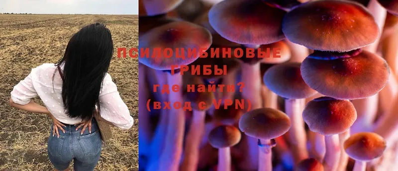 Галлюциногенные грибы MAGIC MUSHROOMS  магазин продажи   Котлас 