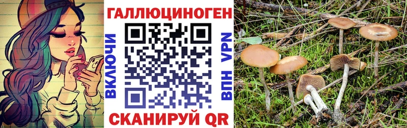 Псилоцибиновые грибы MAGIC MUSHROOMS  мега маркетплейс  Котлас 