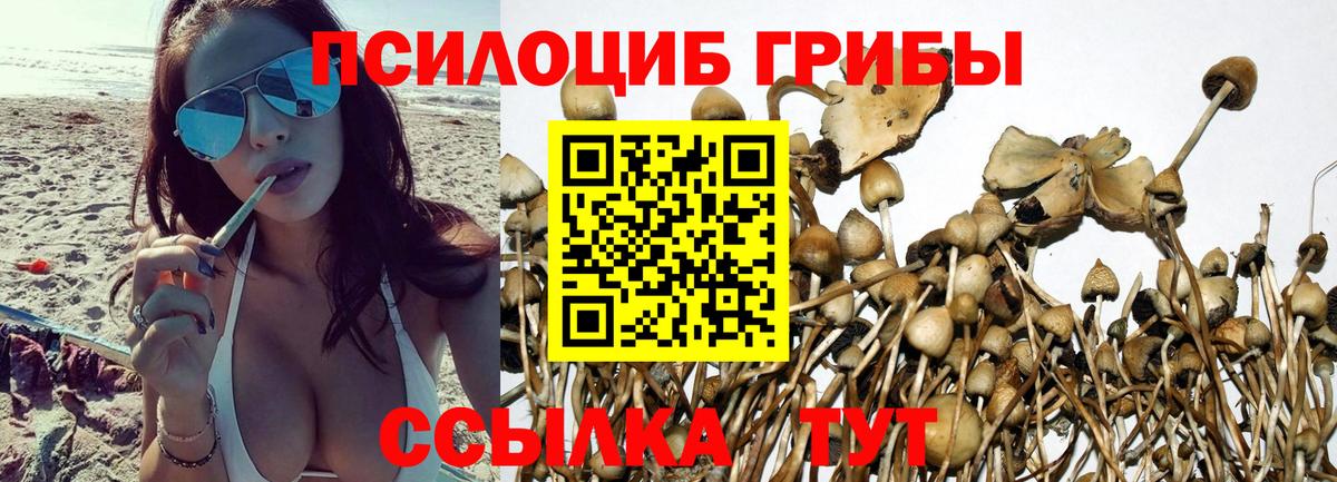 Мефедрон   Каннабис  ГАШИШ  Котлас  ГАШИШ  MDMA  Вход с VPN  КОКАИН 
