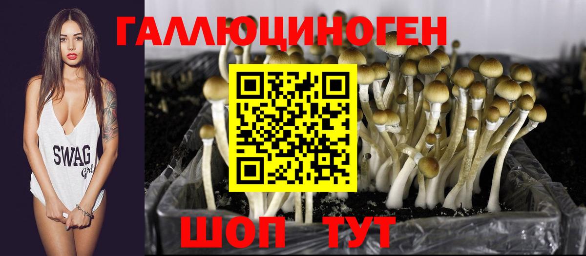 Котлас  Псилоцибиновые грибы MAGIC MUSHROOMS  Вход с VPN 